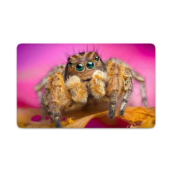 HX Mīlestība Spider Paklāji 3D Grafikas dzīvnieku, kukaiņu Flaneļa Iespiesti Doormats Modes Smieklīgi Grīdas Paklājs Gaitenis Guļamistaba Iekštelpu Paklāju