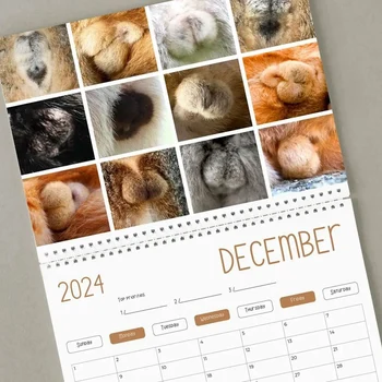 1 GAB. Funny Kaķis Kalendārs - Jautra Dāvana - Kaķi Sēžamvieta Kalendāra 2024. Gadam Papīra Iedomātā Dāvanas Kaķis - Kaķis Sēkliniekos - Balts Zilonis